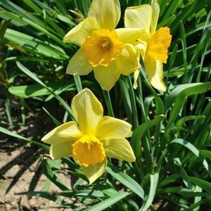 Meet your Posher, Deb